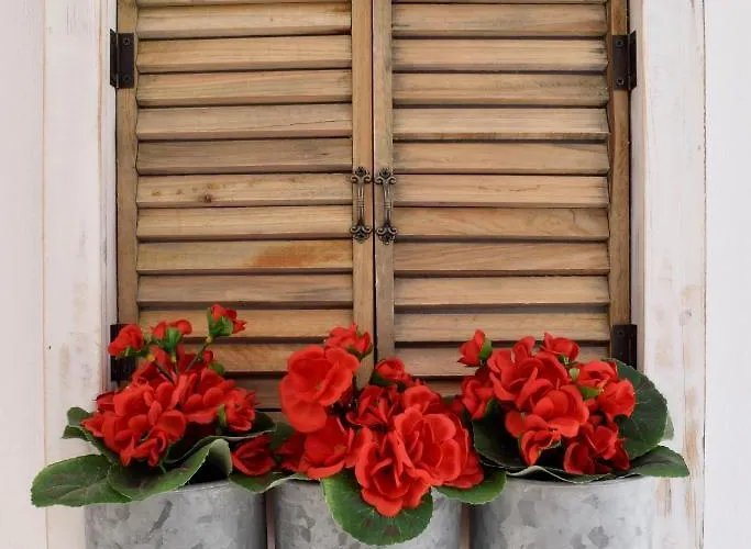 Authentic Santorinian Experience Fíra