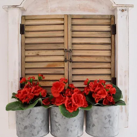 Authentic Santorinian Experience Fira (Santorini)